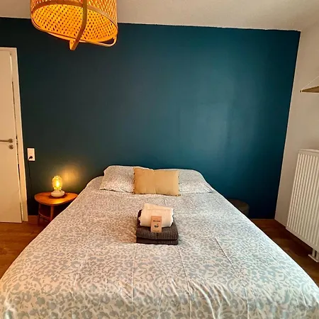 Apartment Pleasant With Big Terrace In Schillik Schiltigheim