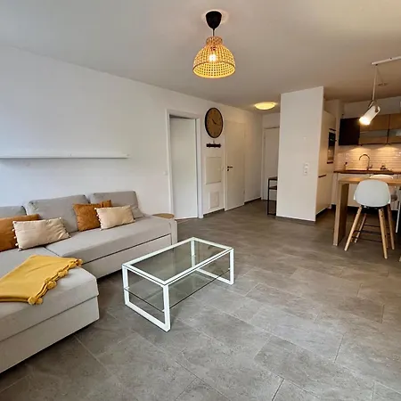Pleasant With Big Terrace In Schillik Schiltigheim